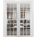 Sartodoors Double French Interior Door, 48" x 96", White FELICIA3355DD-BEM-4896